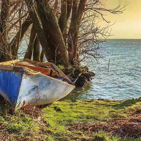 Komfort Bursport Bt. Haz * バラトンフェニヴェシュ