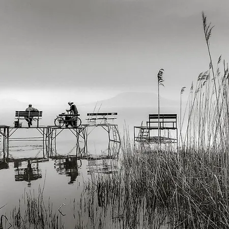 Komfort Bursport Bt. Haz