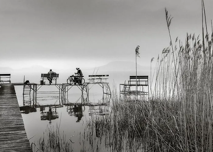 Komfort Bursport Bt. Haz